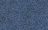 FC10_016
