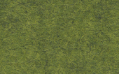 FC09_018