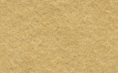 FC08_017